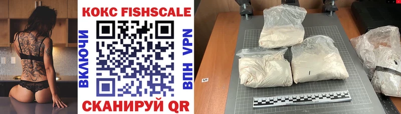 COCAIN Fish Scale  наркошоп  Чусовой 