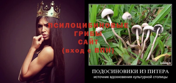 хмурый Дмитриев
