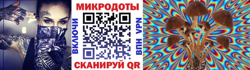 Галлюциногенные грибы Cubensis  Чусовой 